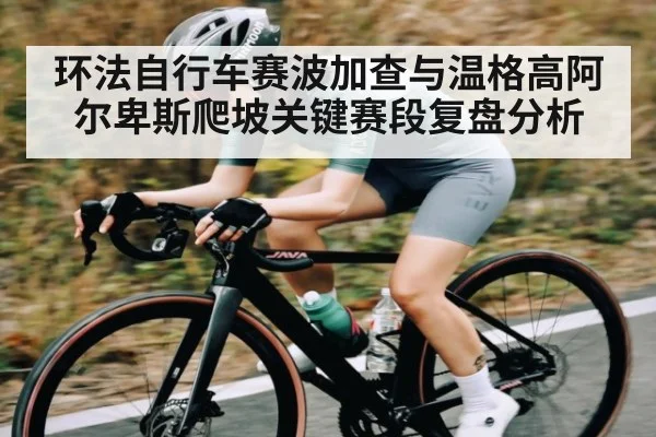 环法自行车赛波加查与温格高阿尔卑斯爬坡关键赛段复盘分析
